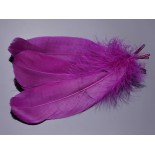 Zdjęcie - Pióra naturalne barwione koloru purpurowy