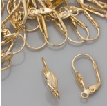 Zdjęcie - Bigle angielskie muszelki real gold color