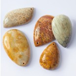 Zdjęcie - Koral skamieniały fossil zawieszka łezka