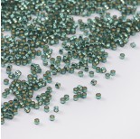 Zdjęcie - Koraliki Miyuki Delica Dyed Silver Lined Teal